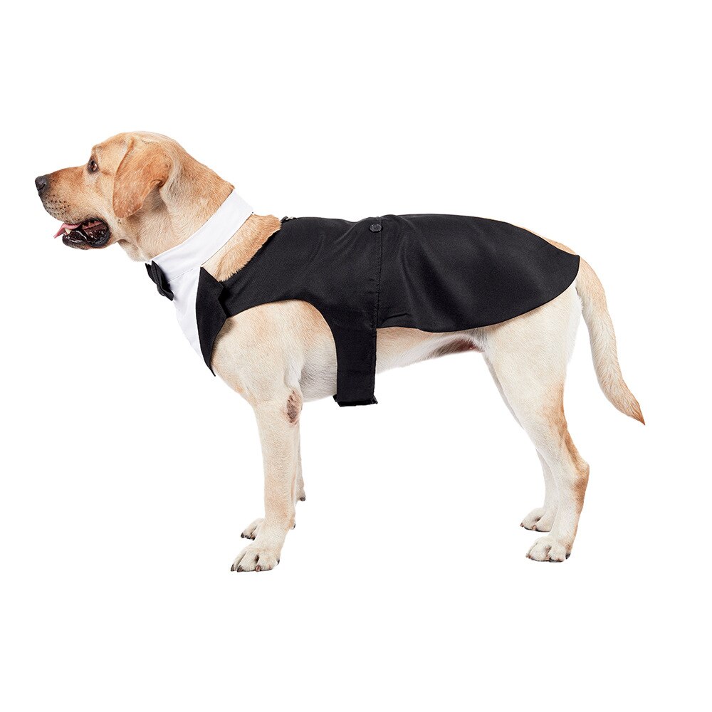 Dog suit clearance and tie costume