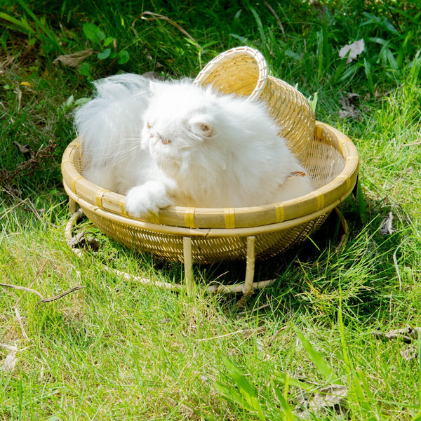 Handcrafted Bamboo Woven Cat Bed