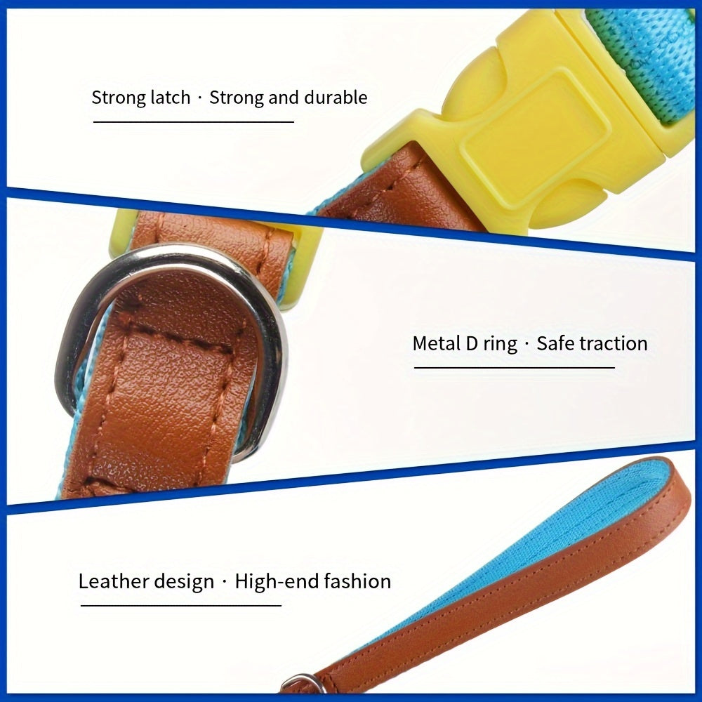 Stylish Dog Collar and Leash Set for Small to Medium Dogs