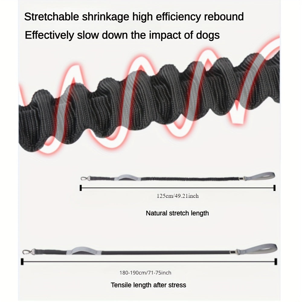 Adjustable Dog Leash with Elastic Cushioning and Comfortable Handle