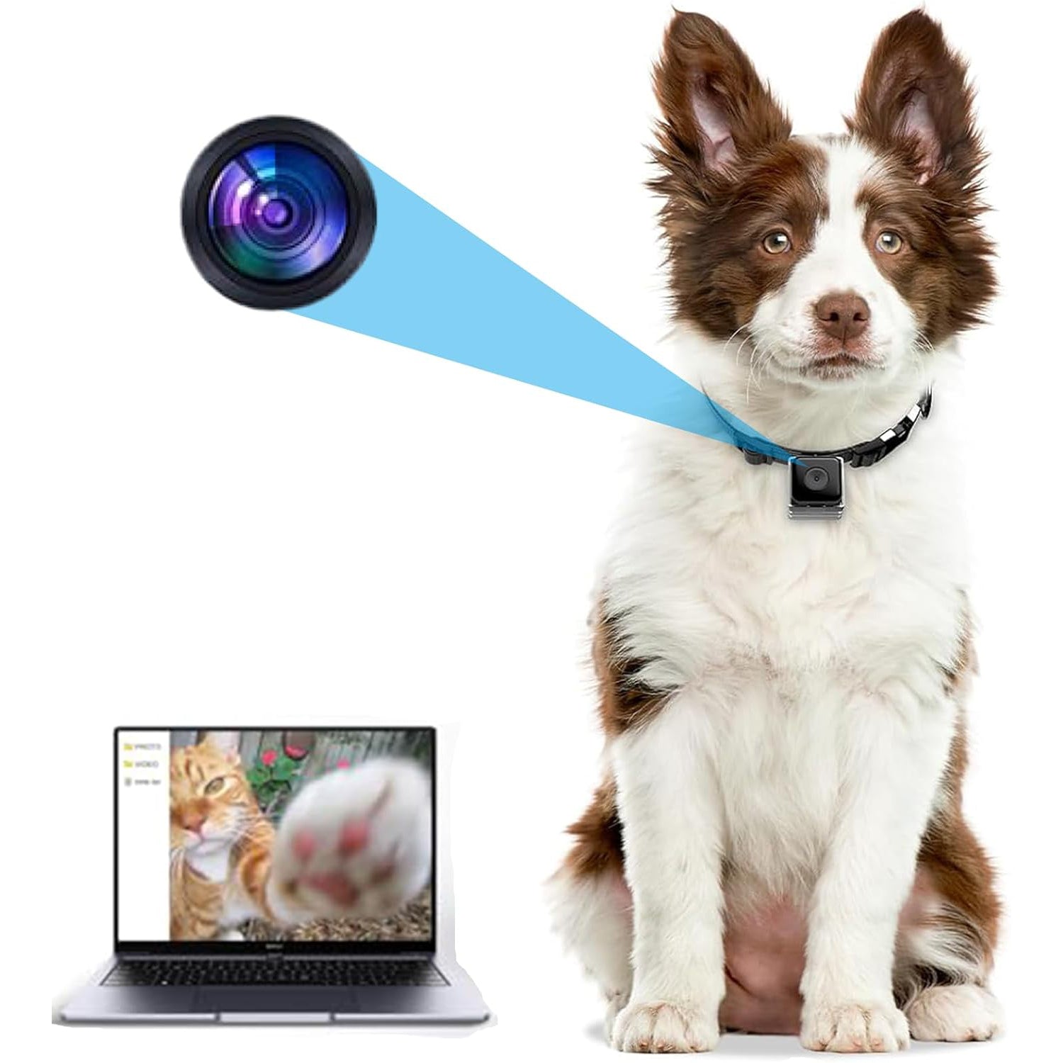 Pet Collar Camera for Cats and Dogs – 1080P Video with Night Vision