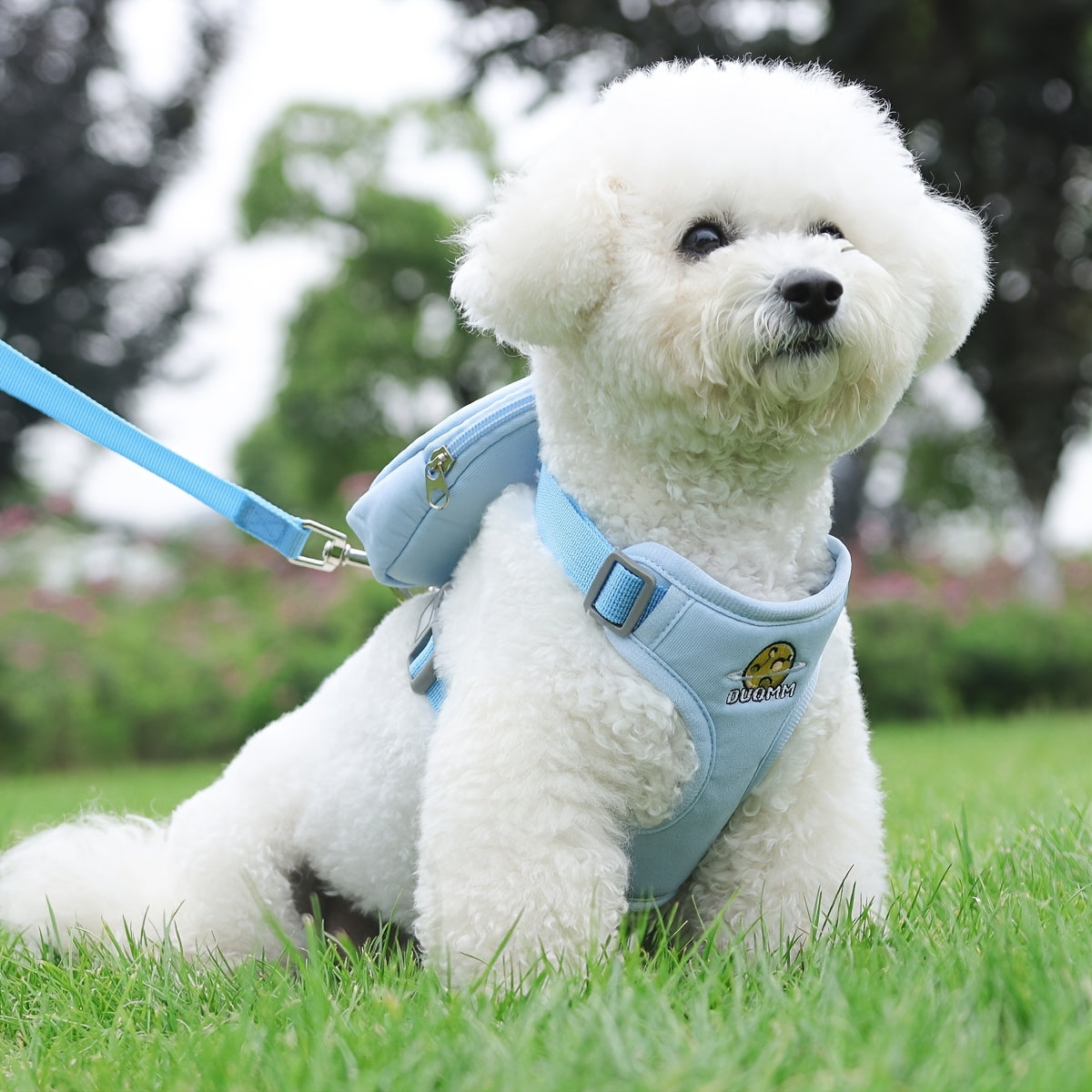 Small Dog Harness with Backpack