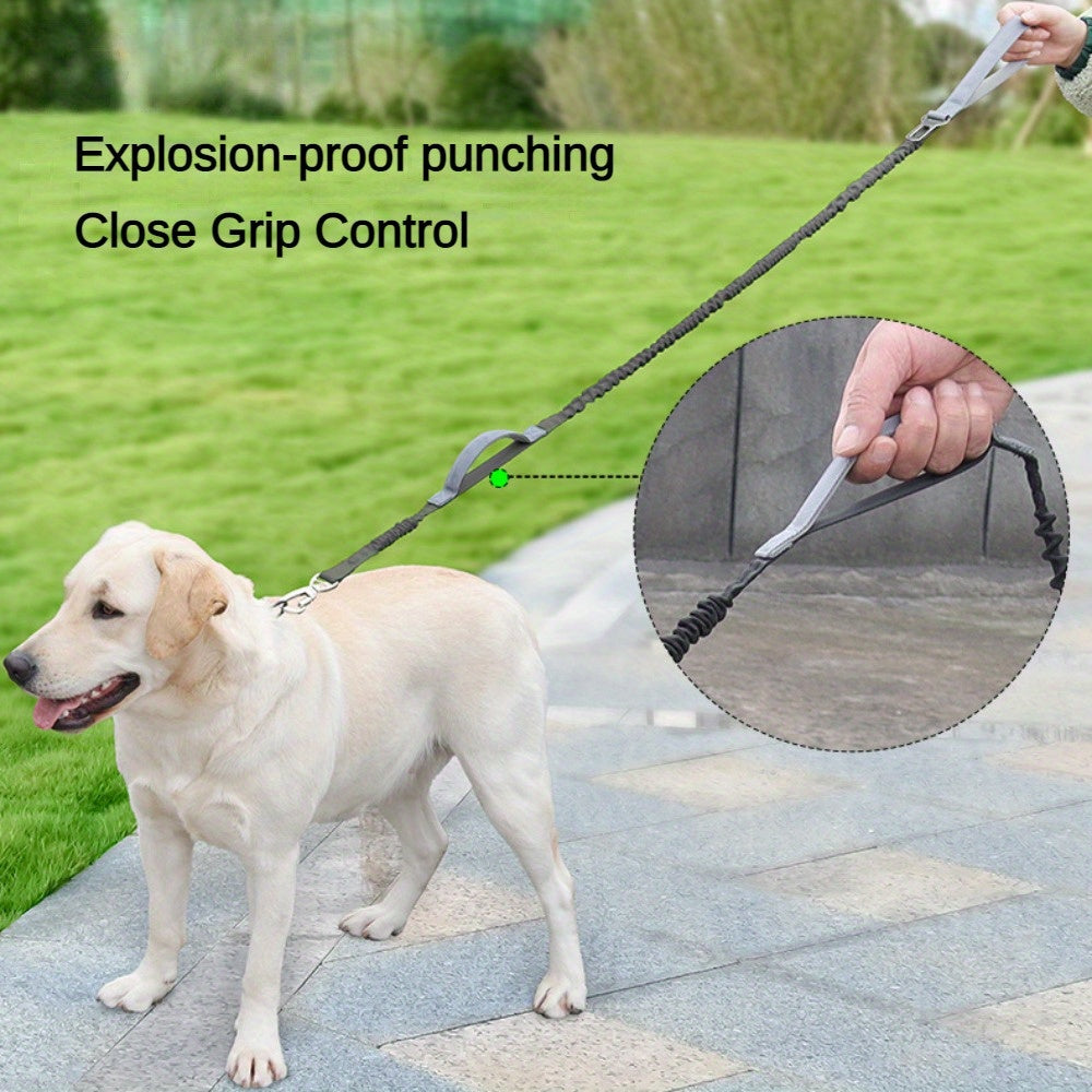 Adjustable Dog Leash with Elastic Cushioning and Comfortable Handle