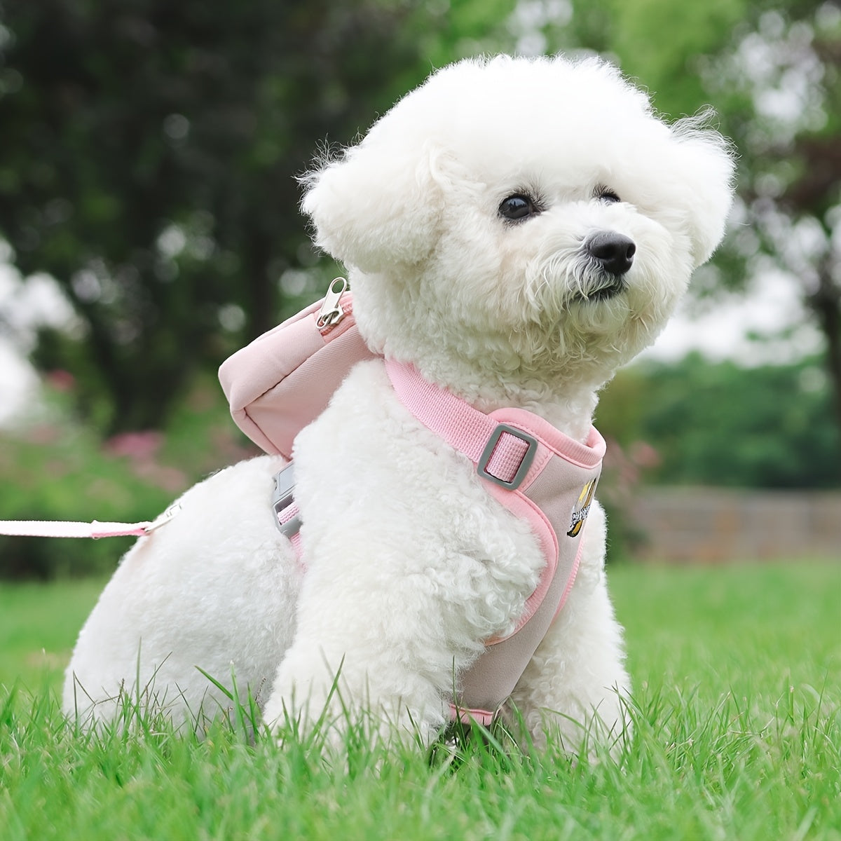 Small Dog Harness with Backpack