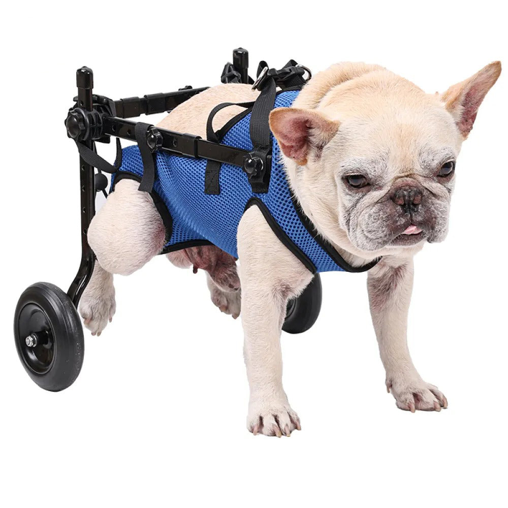 Adjustable Dog Wheelchair for Back Legs