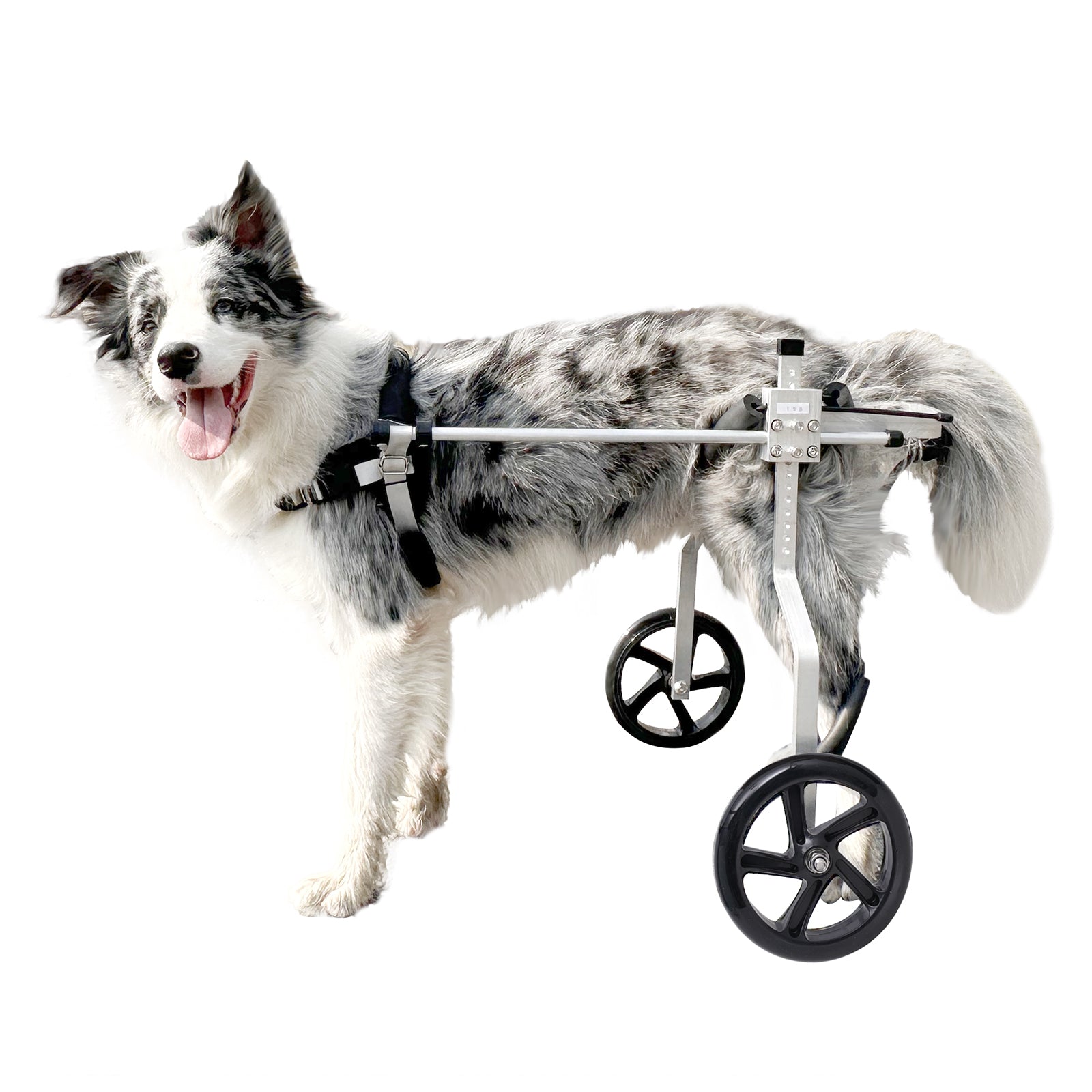 Dog Wheelchair for Black Legs