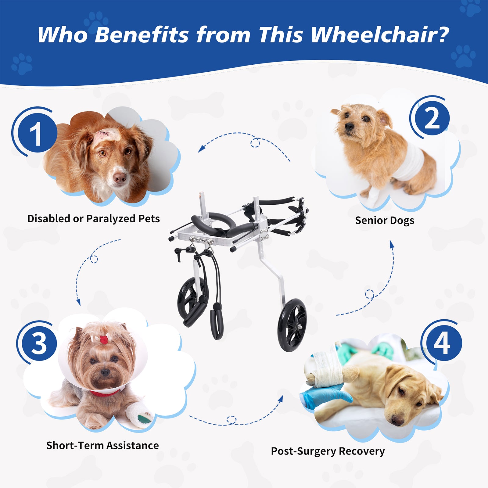 Dog Wheelchair for Black Legs