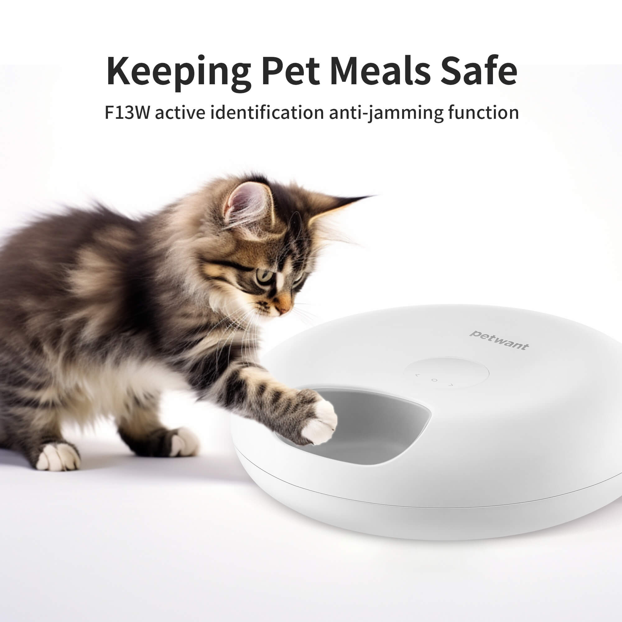 6-Meal Automatic Cat Feeder for Wet & Dry Food