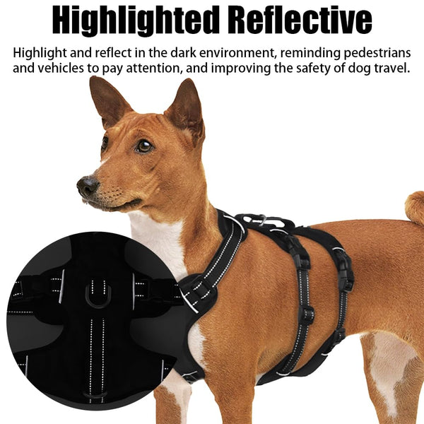 Escape-Proof Large Dog Harness