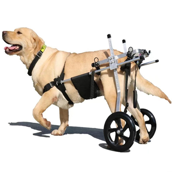 Adjustable Lightweight Dog Wheelchair for Hind Leg Mobility