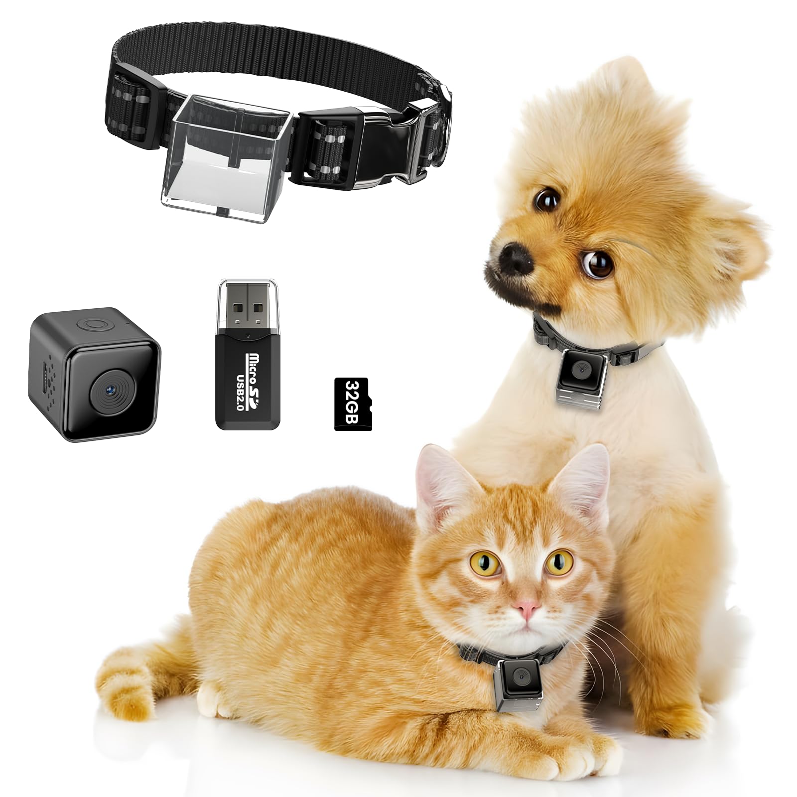 Pet Collar Camera for Cats and Dogs – 1080P Video with Night Vision