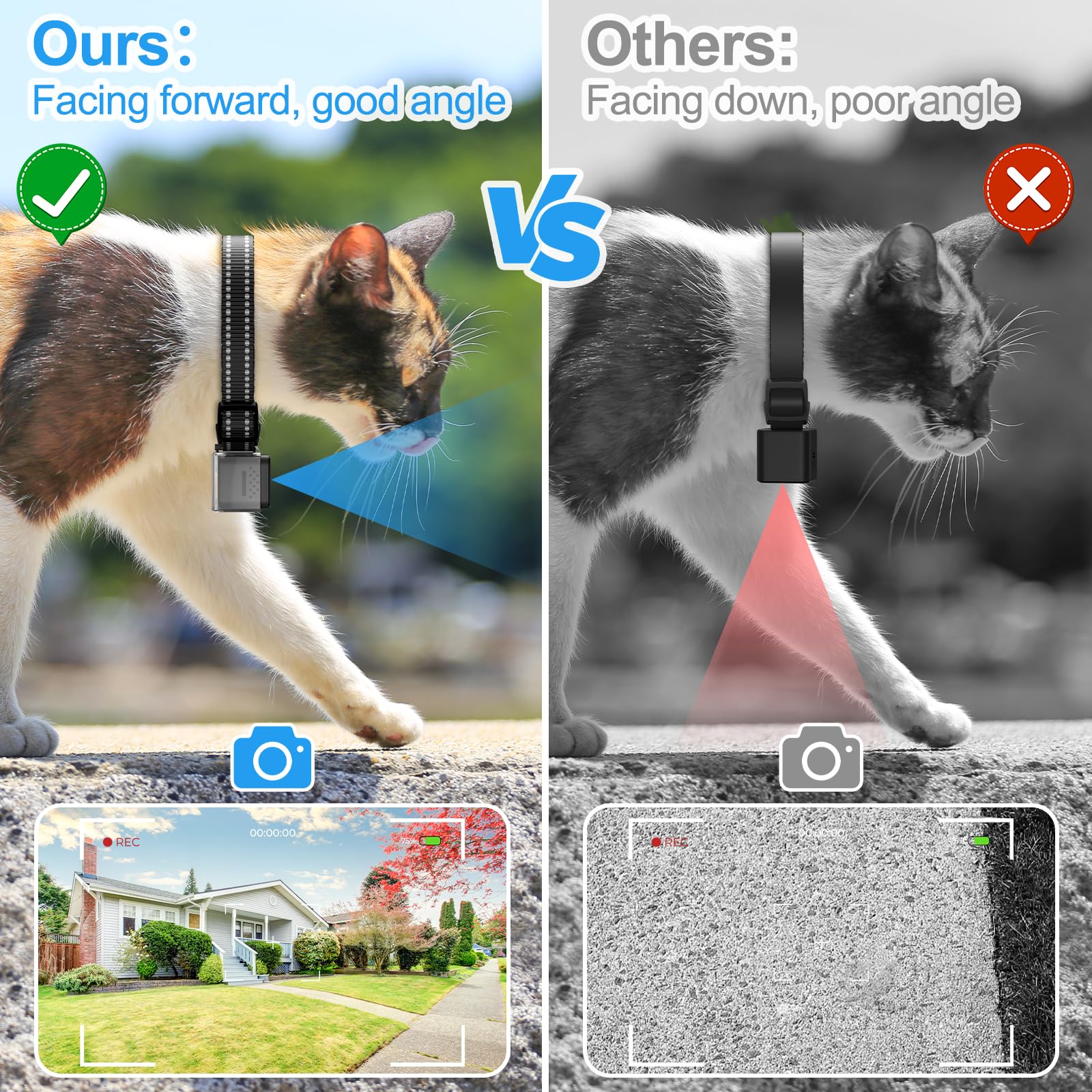 Pet Collar Camera for Cats and Dogs – 1080P Video with Night Vision