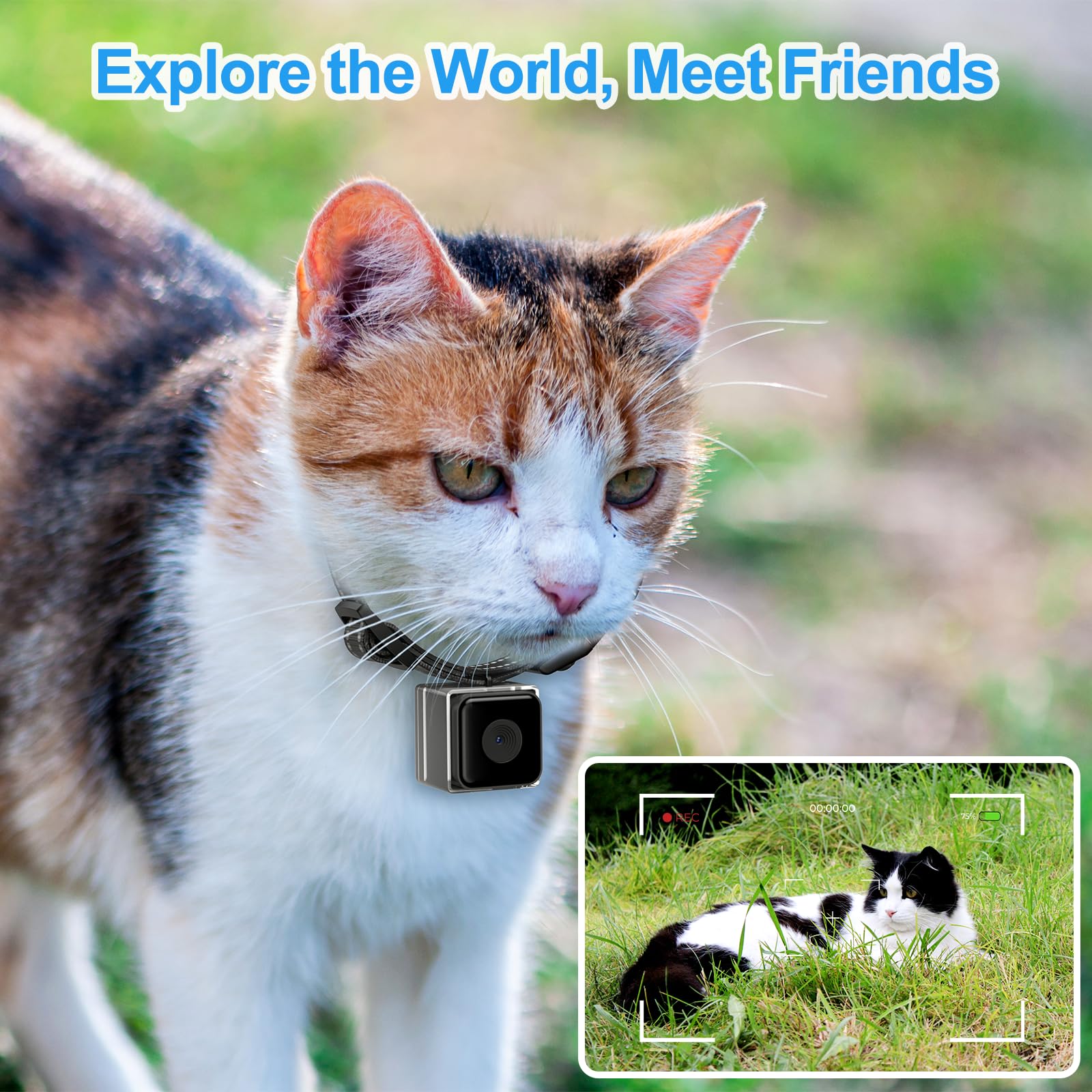 Pet Collar Camera for Cats and Dogs – 1080P Video with Night Vision