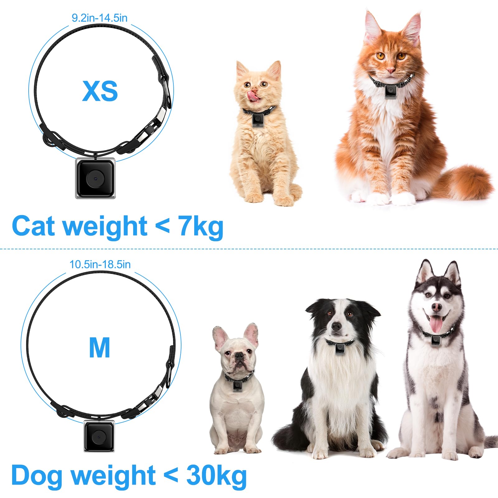 Pet Collar Camera for Cats and Dogs – 1080P Video with Night Vision