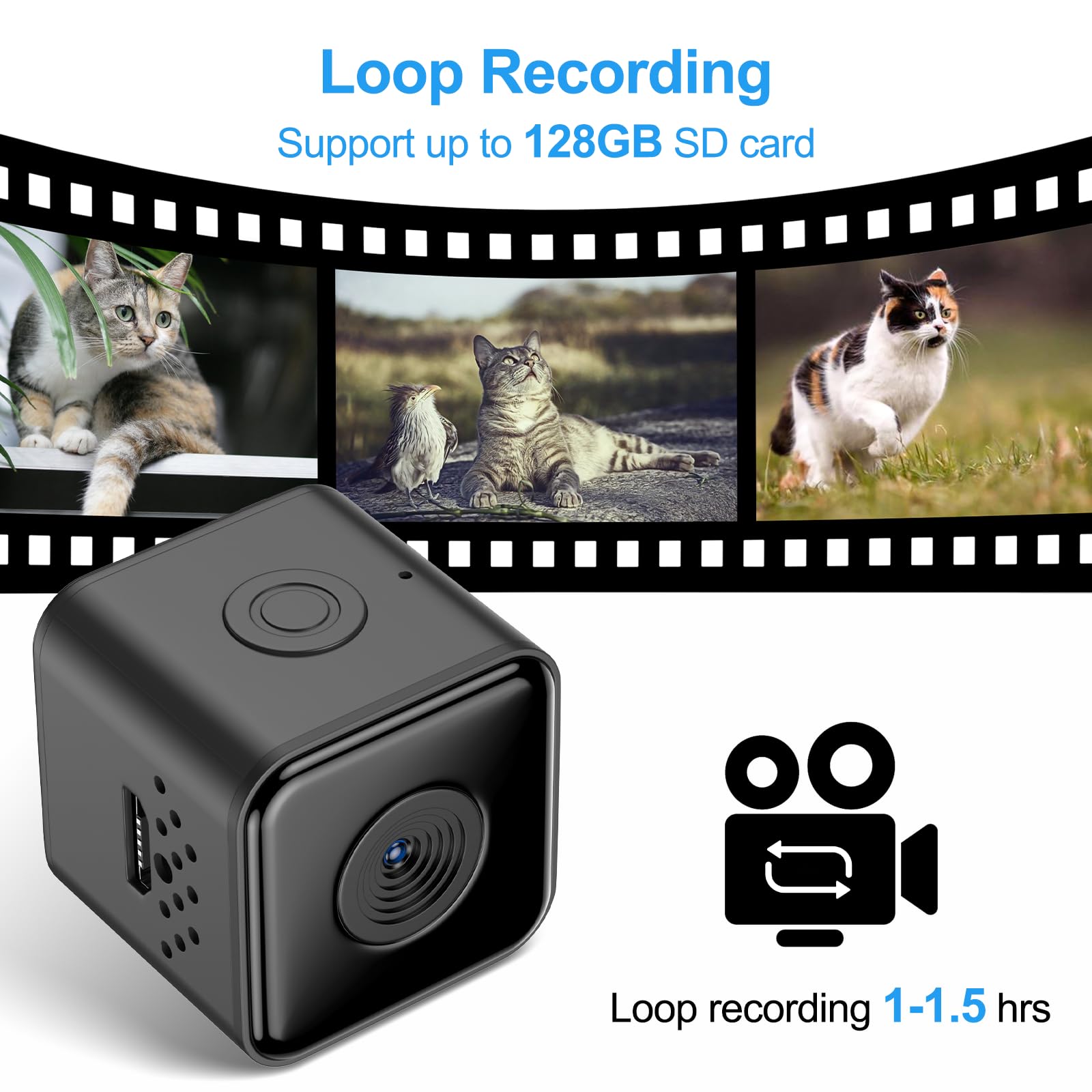 Pet Collar Camera for Cats and Dogs – 1080P Video with Night Vision