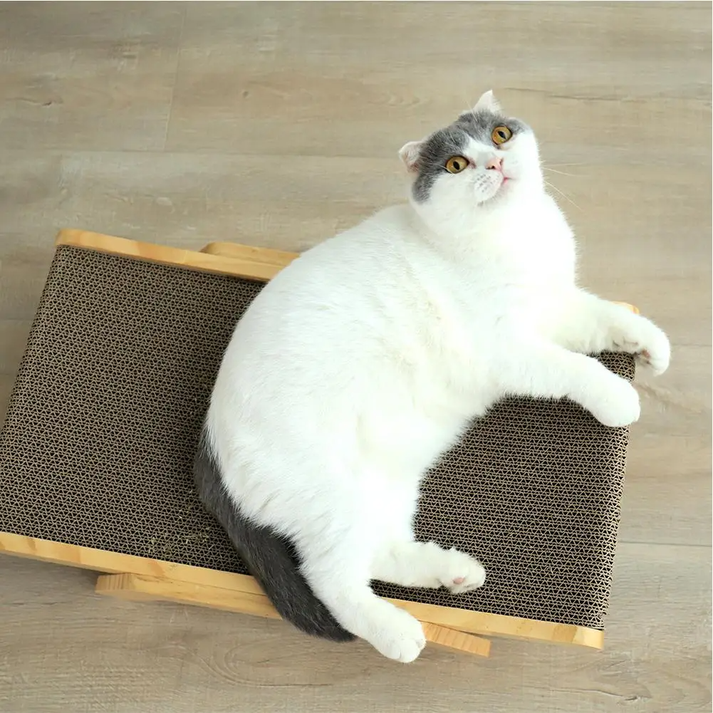 Cat Scratcher