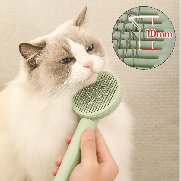 Professional Cat Brush